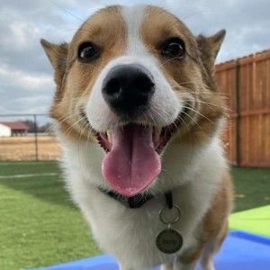 Meet your Posher, Faye elisa santos